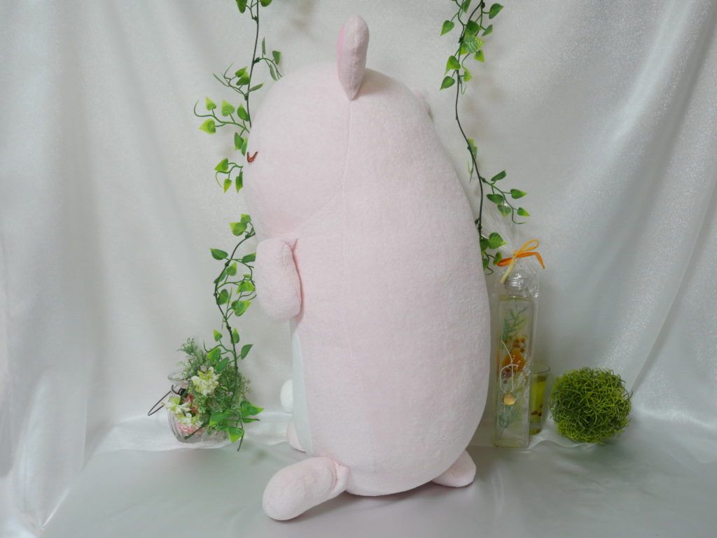 Image in a image block