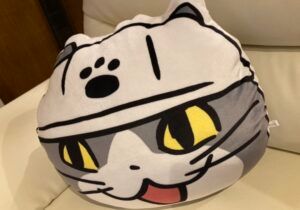 Image in a image block