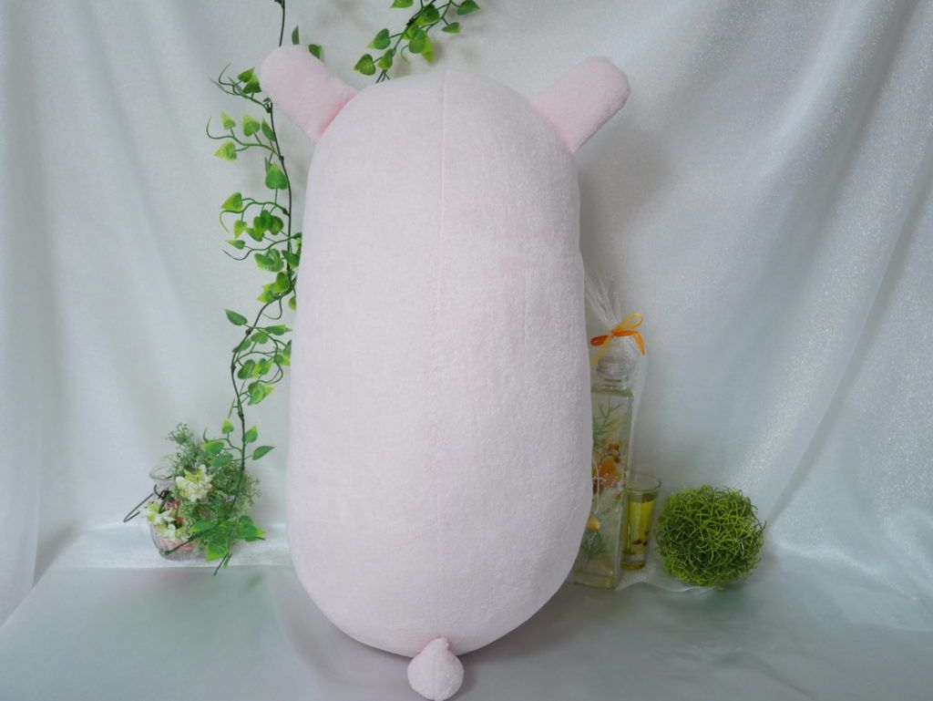 Image in a image block