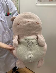 Image in a image block