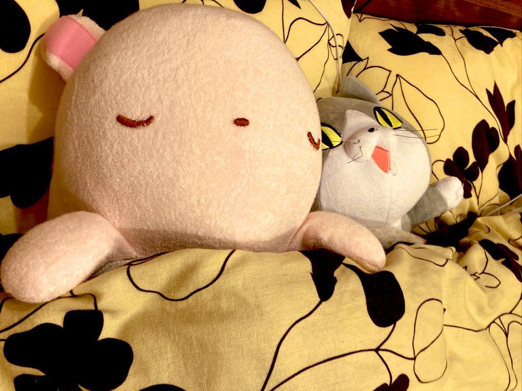 Featured image of the post