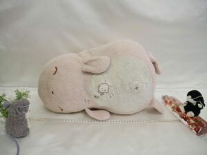 Image in a image block