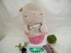 Image in a image block