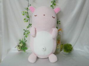 Image in a image block