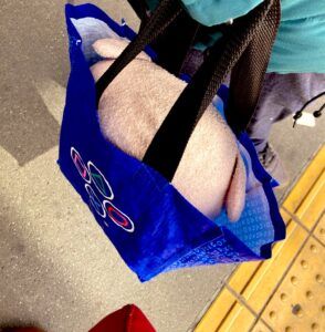 Image in a image block