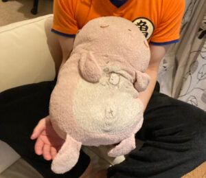 Image in a image block