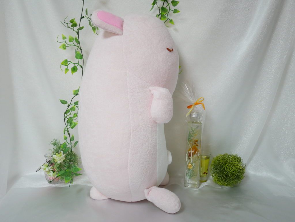 Image in a image block